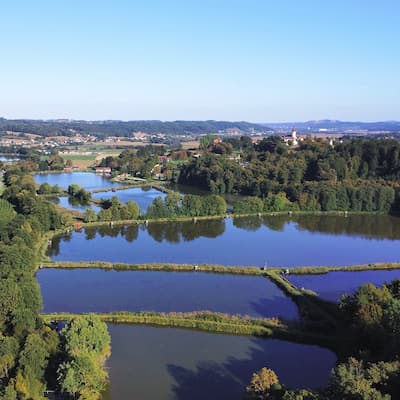 Umgebung der Hausboote mit Kirchberg an der Raab im Hintergrund